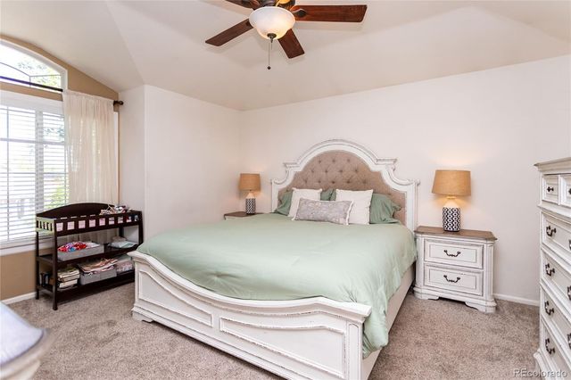 380 Dunhill Street, Castle Rock, CO 80104