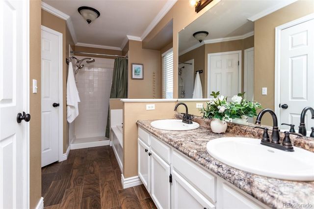 380 Dunhill Street, Castle Rock, CO 80104