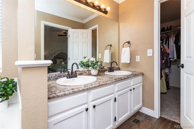 380 Dunhill Street, Castle Rock, CO 80104