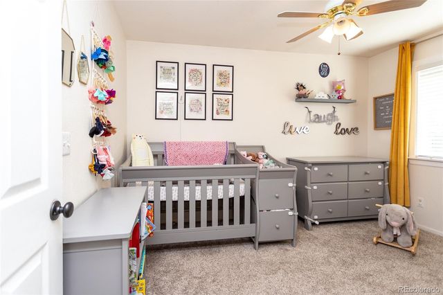 380 Dunhill Street, Castle Rock, CO 80104
