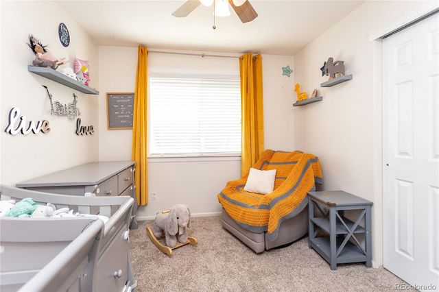 380 Dunhill Street, Castle Rock, CO 80104
