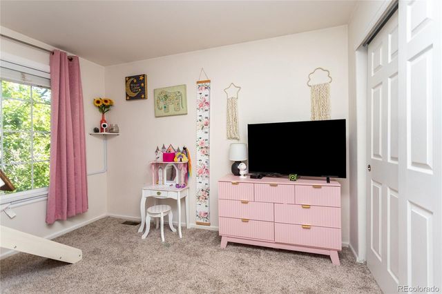 380 Dunhill Street, Castle Rock, CO 80104