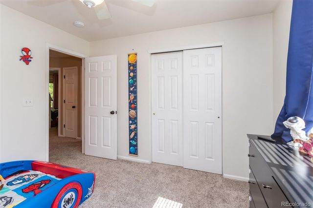 380 Dunhill Street, Castle Rock, CO 80104