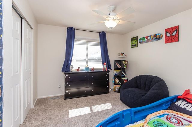 380 Dunhill Street, Castle Rock, CO 80104