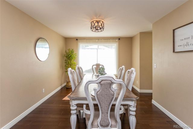 380 Dunhill Street, Castle Rock, CO 80104