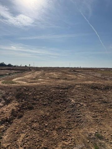 29127 Dandelion Sky Drive, Waller, TX 77484