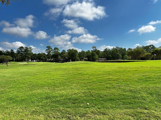 11106 Ellwood Street, The Woodlands, TX 77380