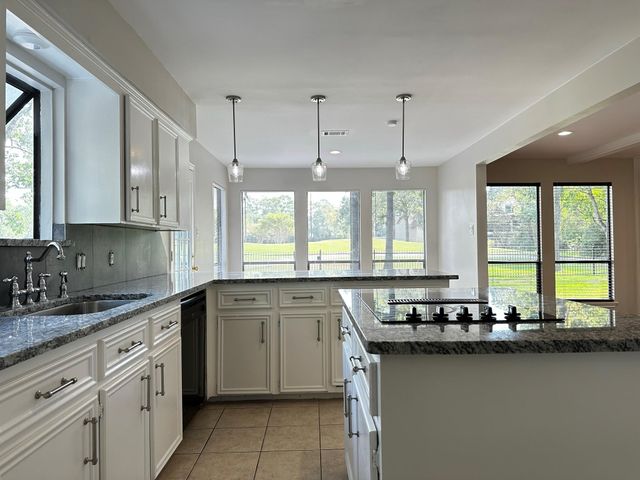 11106 Ellwood Street, The Woodlands, TX 77380