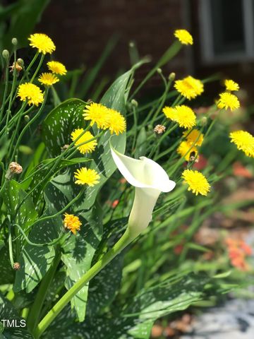 120 Chuckwagon, Louisburg, NC 27549