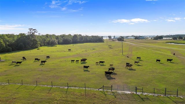 1980 LAKE BUFFUM ROAD E, Fort Meade, FL 33841