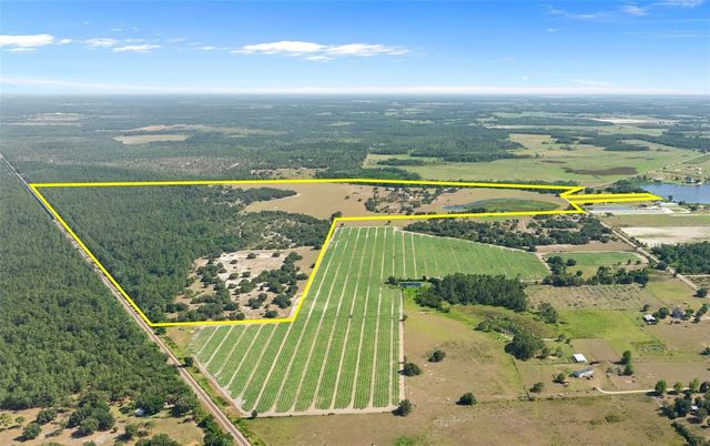 1980 LAKE BUFFUM ROAD E, Fort Meade, FL 33841