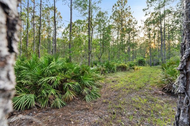 1980 LAKE BUFFUM ROAD E, Fort Meade, FL 33841