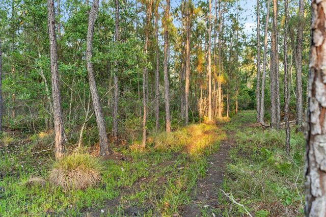 1980 LAKE BUFFUM ROAD E, Fort Meade, FL 33841