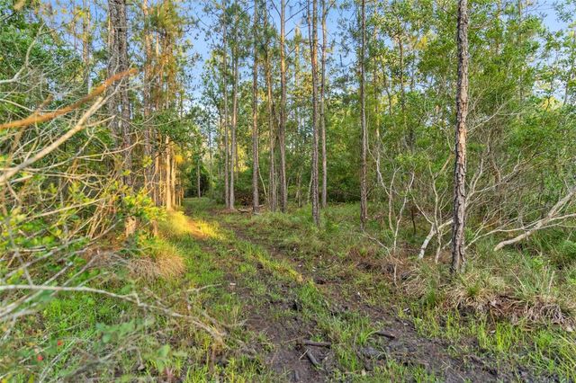 1980 LAKE BUFFUM ROAD E, Fort Meade, FL 33841