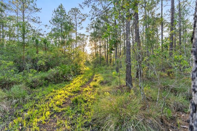1980 LAKE BUFFUM ROAD E, Fort Meade, FL 33841
