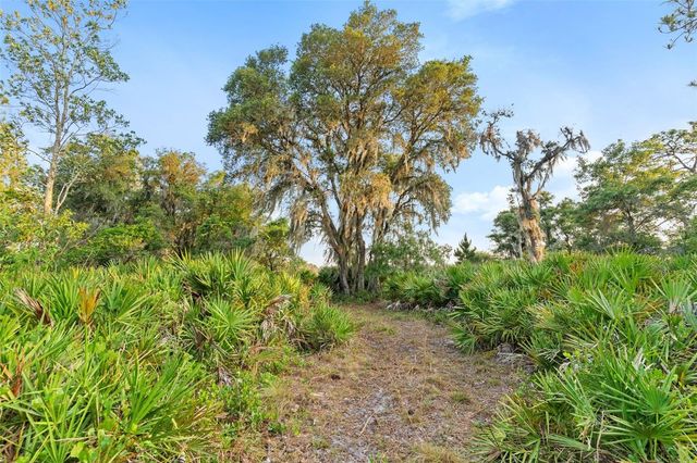 1980 LAKE BUFFUM ROAD E, Fort Meade, FL 33841