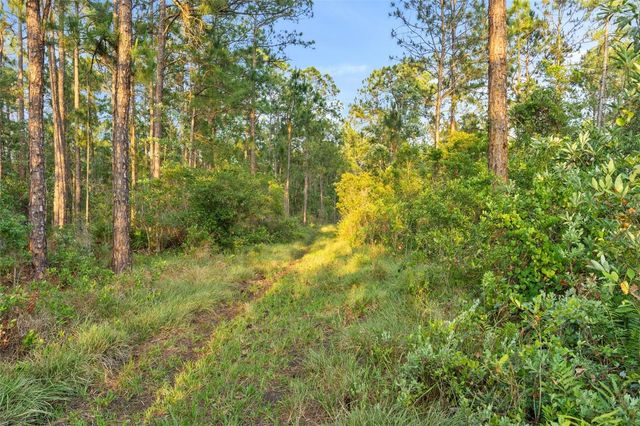 1980 LAKE BUFFUM ROAD E, Fort Meade, FL 33841