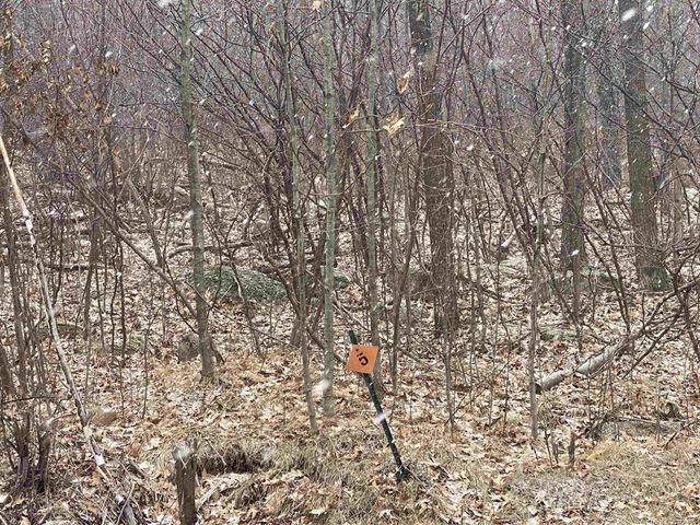 Lot 5 ACORN RIDGE ROAD, Mosinee, WI 54455