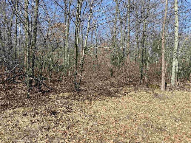 Lot 5 ACORN RIDGE ROAD, Mosinee, WI 54455