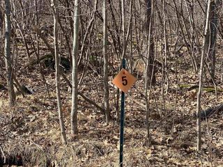 Lot 5 ACORN RIDGE ROAD, Mosinee, WI 54455