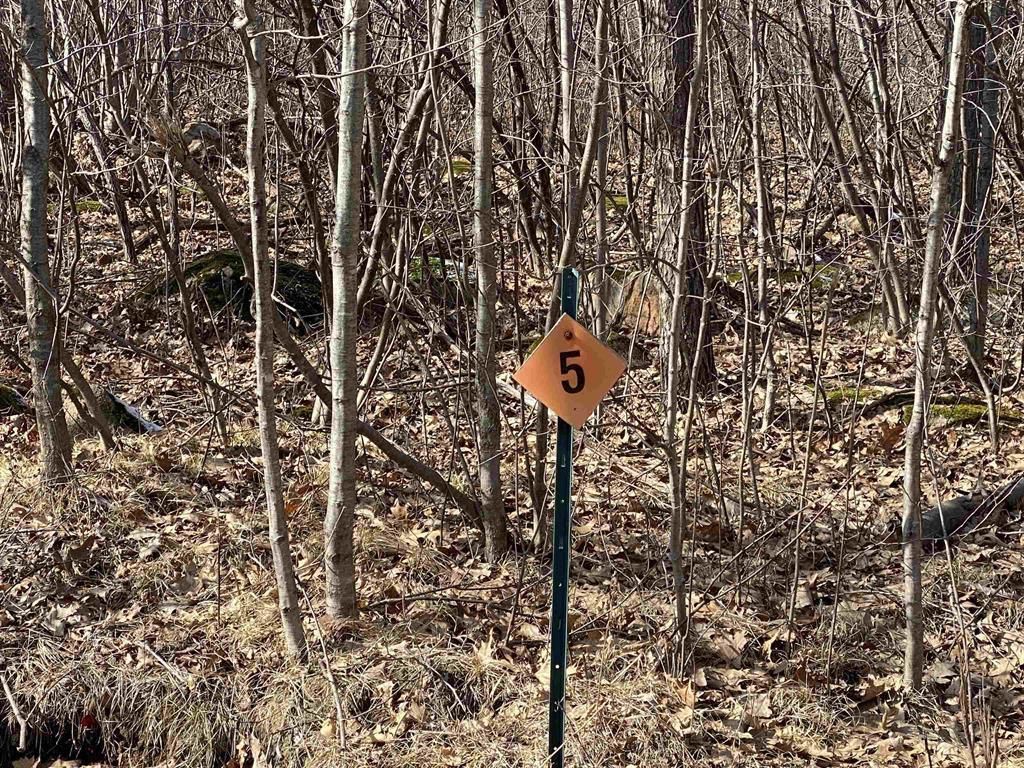 Lot 5 ACORN RIDGE ROAD, Mosinee, WI 54455