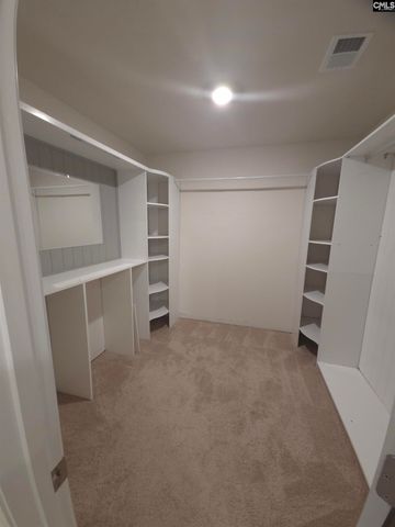 153 Rushton Drive, Chapin, SC 29036