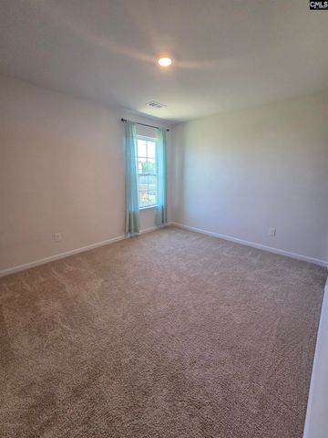 153 Rushton Drive, Chapin, SC 29036