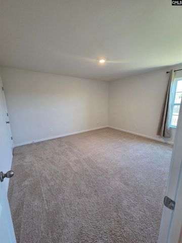 153 Rushton Drive, Chapin, SC 29036