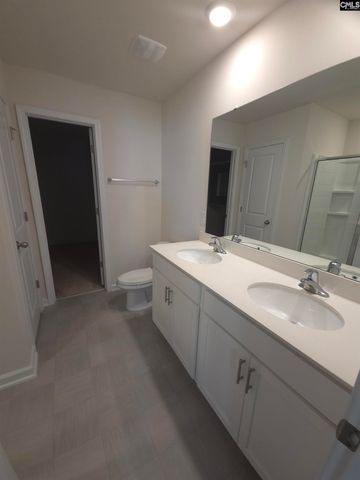 153 Rushton Drive, Chapin, SC 29036