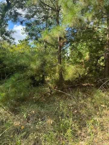 Lot 1339 Tahitian DR, Bastrop, TX 78602