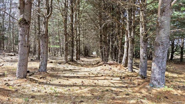 W4506 COUNTY ROAD TT, Wild Rose, WI 54984