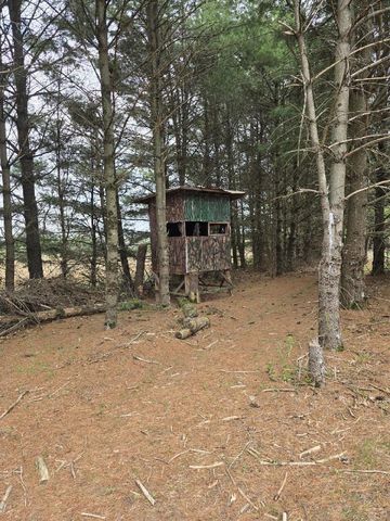 W4506 COUNTY ROAD TT, Wild Rose, WI 54984