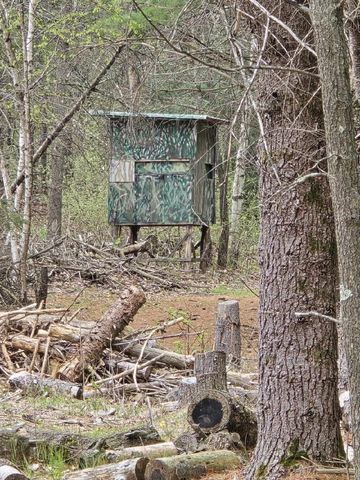 W4506 COUNTY ROAD TT, Wild Rose, WI 54984