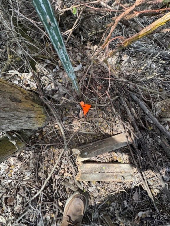 TBD County Rd 70, Weiser, ID 83672 photo 11