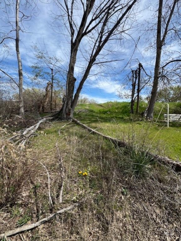 TBD County Rd 70, Weiser, ID 83672 photo 7