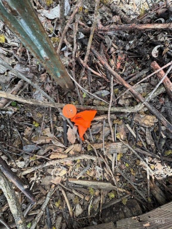 TBD County Rd 70, Weiser, ID 83672 photo 9