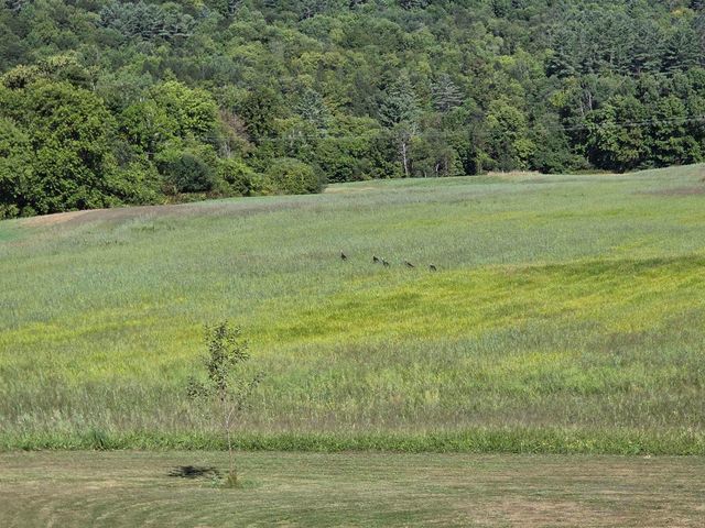 1065 Higgins Hill Road, St. Johnsbury, VT 05819