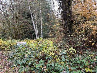 54165 Steelhead Landing Road, Concrete, WA 98237