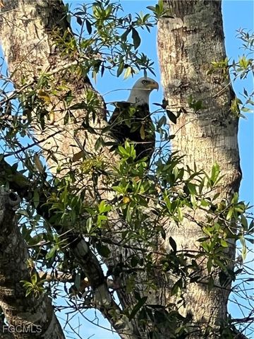 15841 Rasmussen RD, Punta Gorda, FL 33982