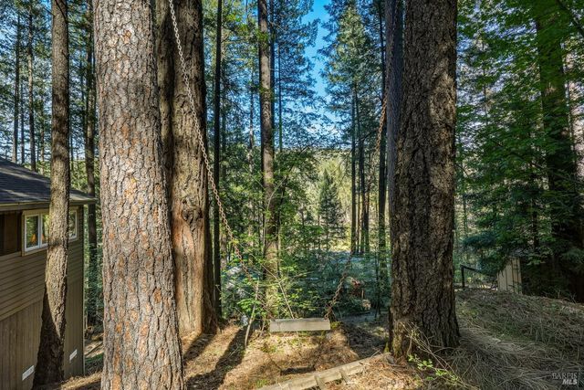 16179 Madrone Blvd, Cobb, CA 95426