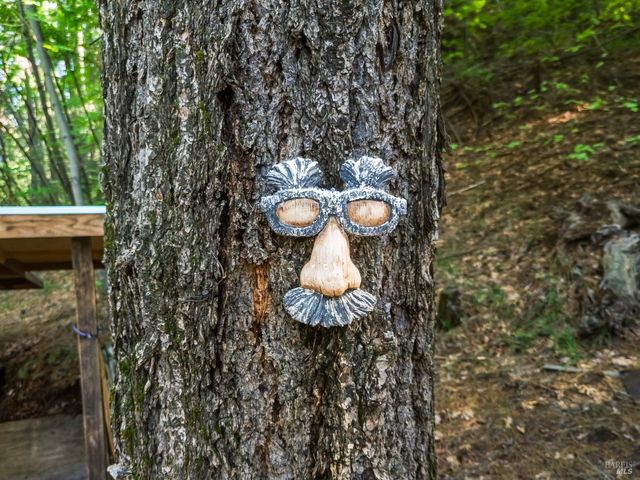 16179 Madrone Blvd, Cobb, CA 95426