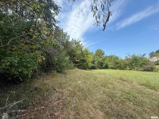 00 Wood Road, Carbondale, IL 62901