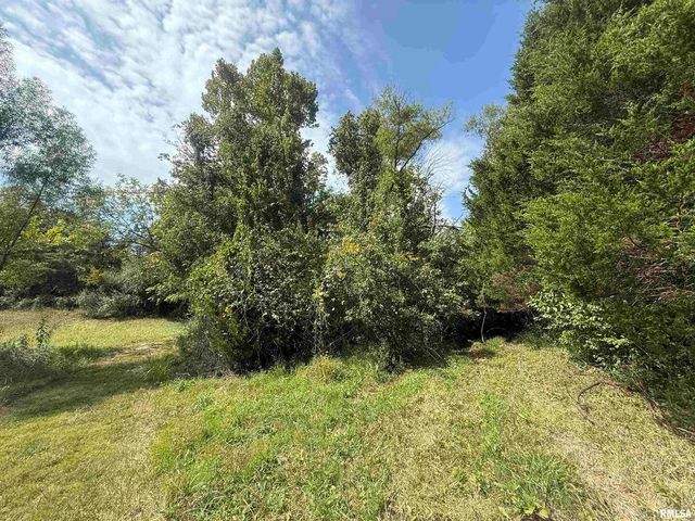 00 Wood Road, Carbondale, IL 62901