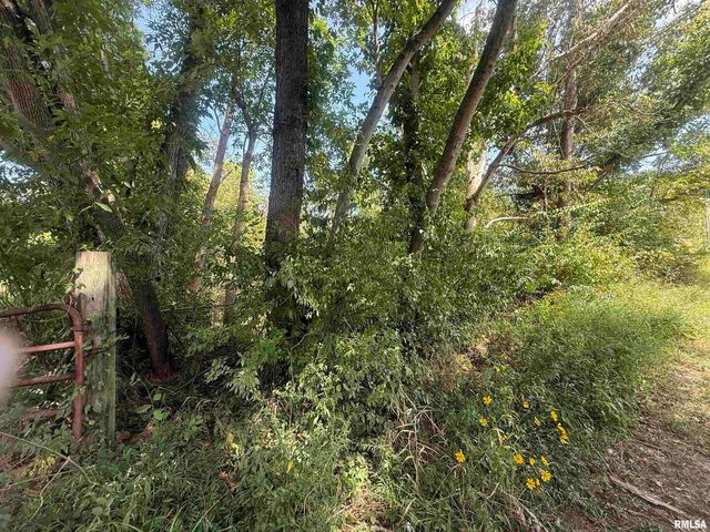 00 Wood Road, Carbondale, IL 62901