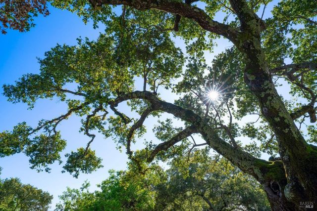 17355 Norrbom Rd, Sonoma, CA 95476