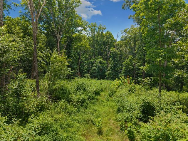 TBD Hodge Lane, Gravette, AR 72736
