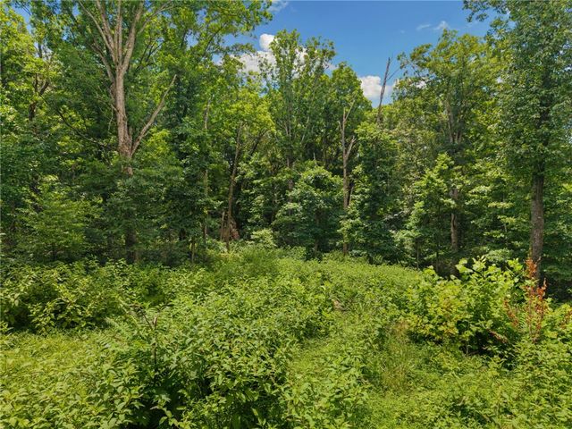 TBD Hodge Lane, Gravette, AR 72736