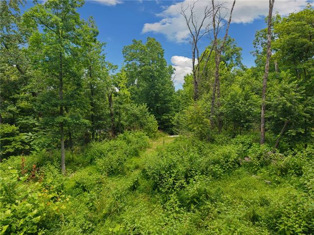 TBD Hodge Lane, Gravette, AR 72736