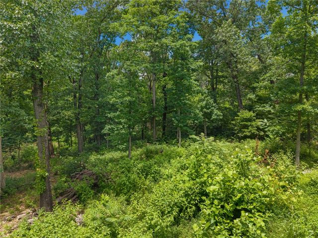 TBD Hodge Lane, Gravette, AR 72736