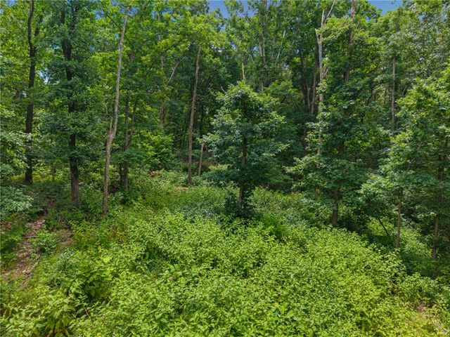 TBD Hodge Lane, Gravette, AR 72736